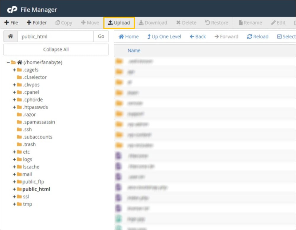 بخش File Manager در سی پنل بخش File Manager در سی پنل